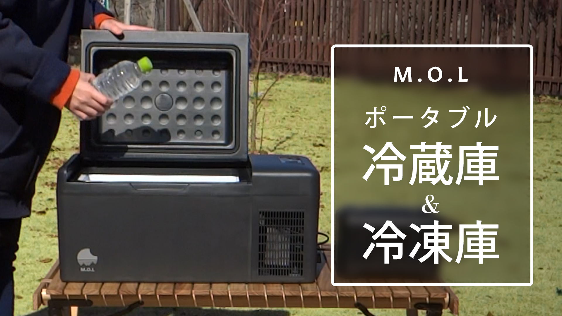 Amazon.co.jp: M.O.L ポータブル冷蔵庫＆冷凍庫 20L DC12V24V／AC100V