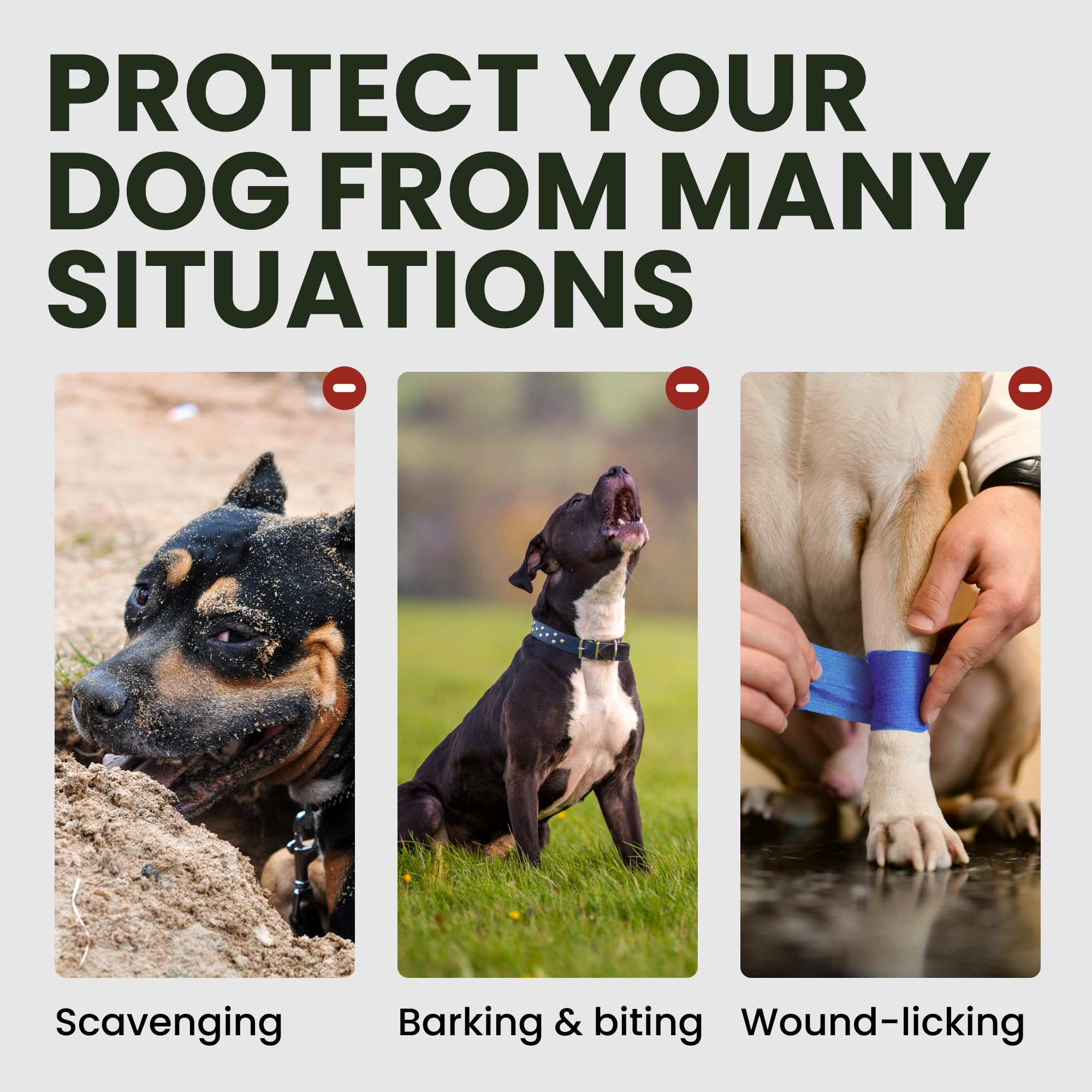 Amazon | BRONZEDOG ピットブルドッグ マズル ワイヤーバスケット アム