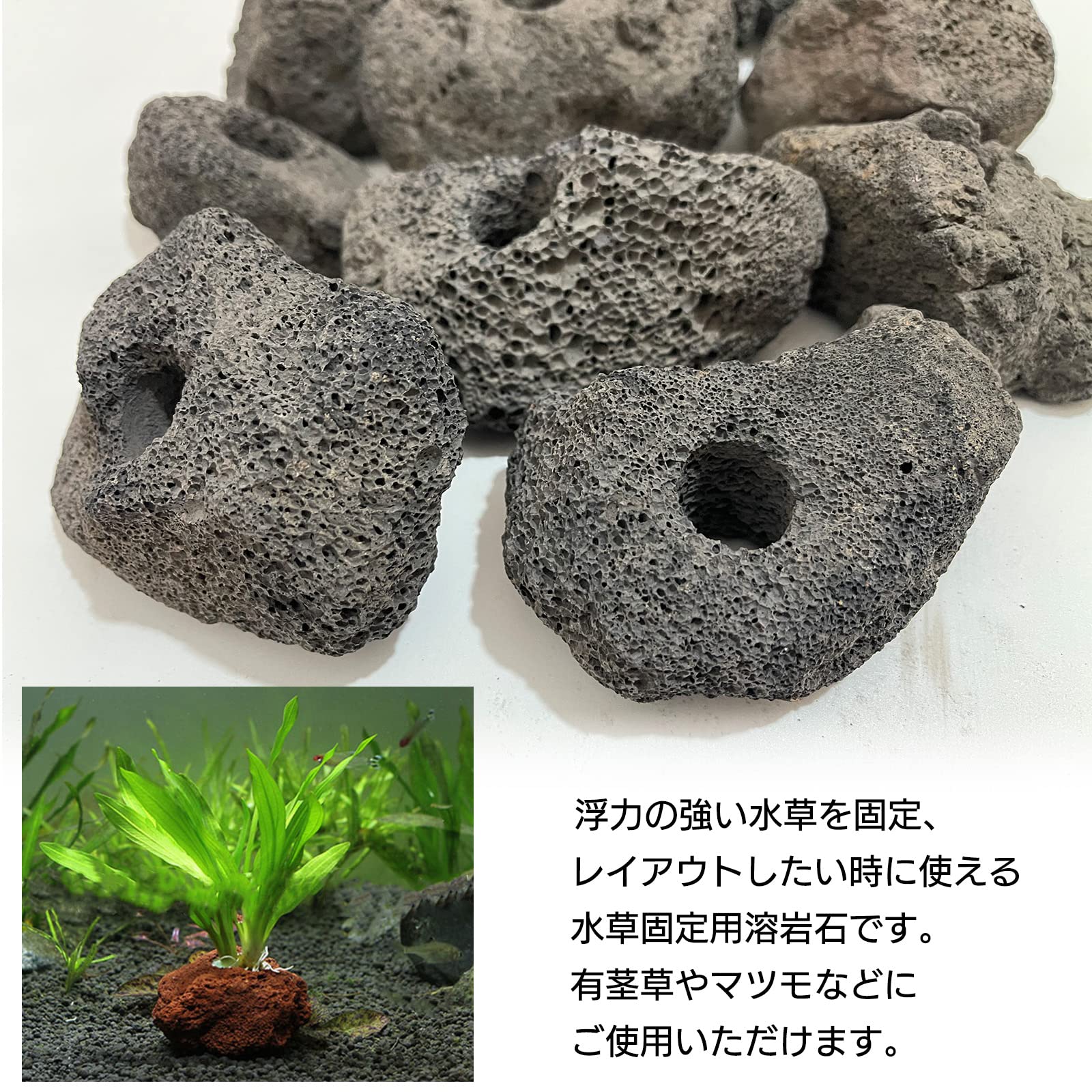 Amazon | S-NET 溶岩 石 火山 岩 水槽 穴あき オブジェ 10個 セット