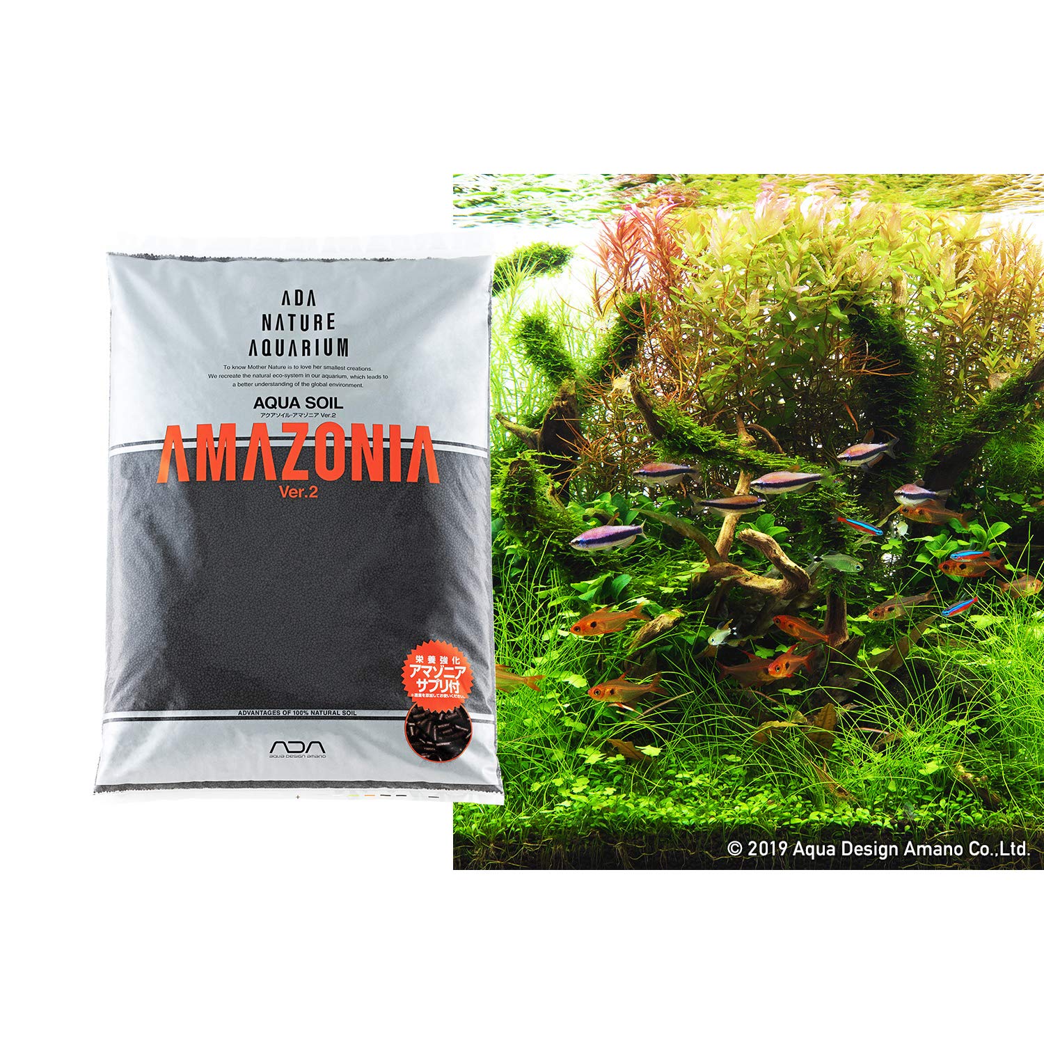 Amazon.com : ADA Aqua Soil Amazonia Ver 2 (9L) : Patio, Lawn & Garden