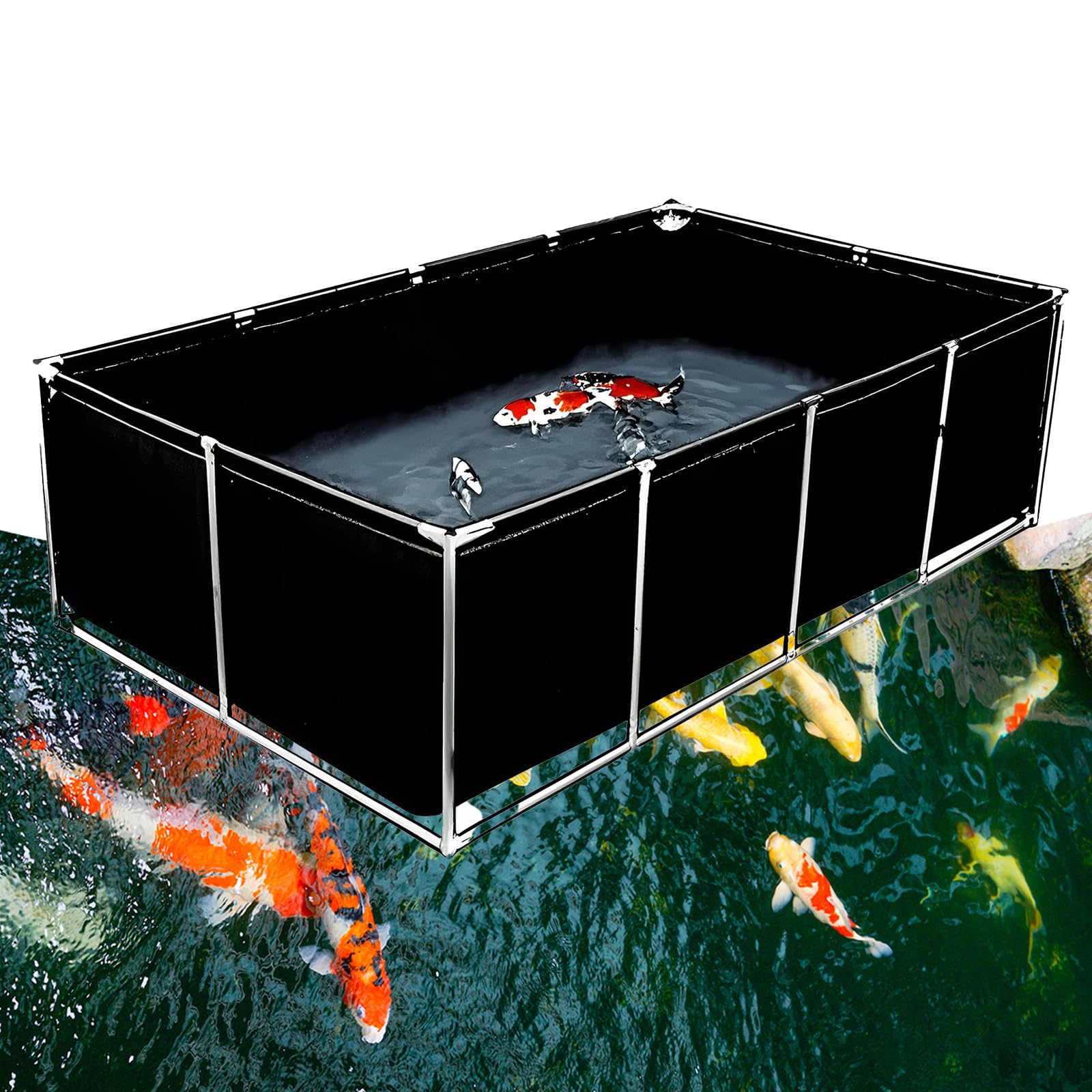 Amazon | Eryssgbf 大型水槽 錦鯉 池アップグレード プール フレーム