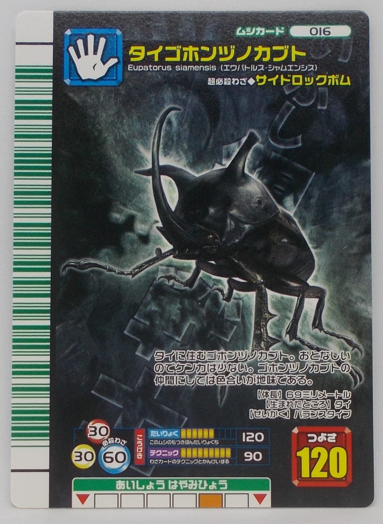 Amazon.co.jp: 【016-2007 ファースト】タイゴホンヅノカブト／甲虫