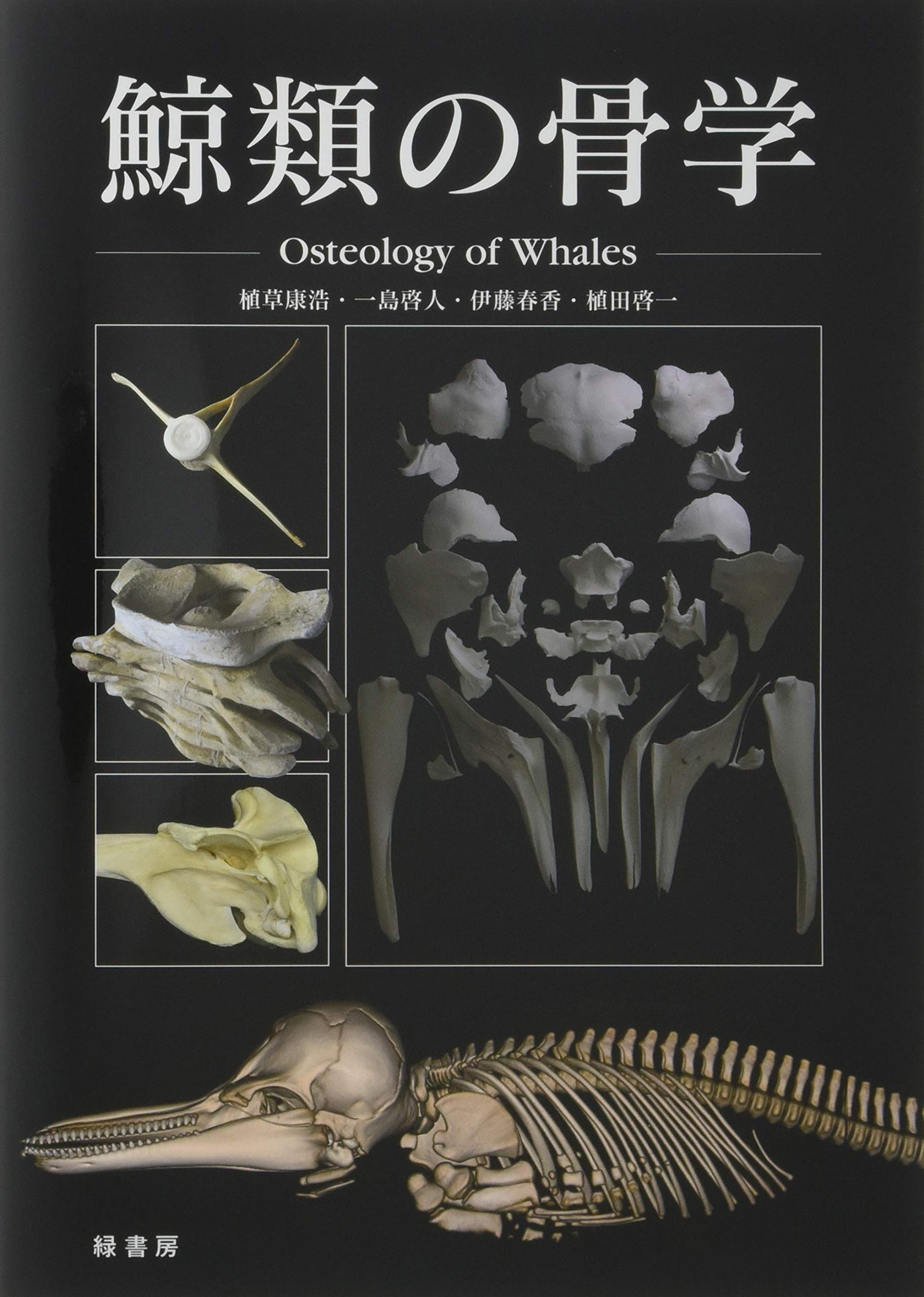 鯨類の骨学 Osteology of Whales | 植草康浩, 一島啓人, 伊藤春香