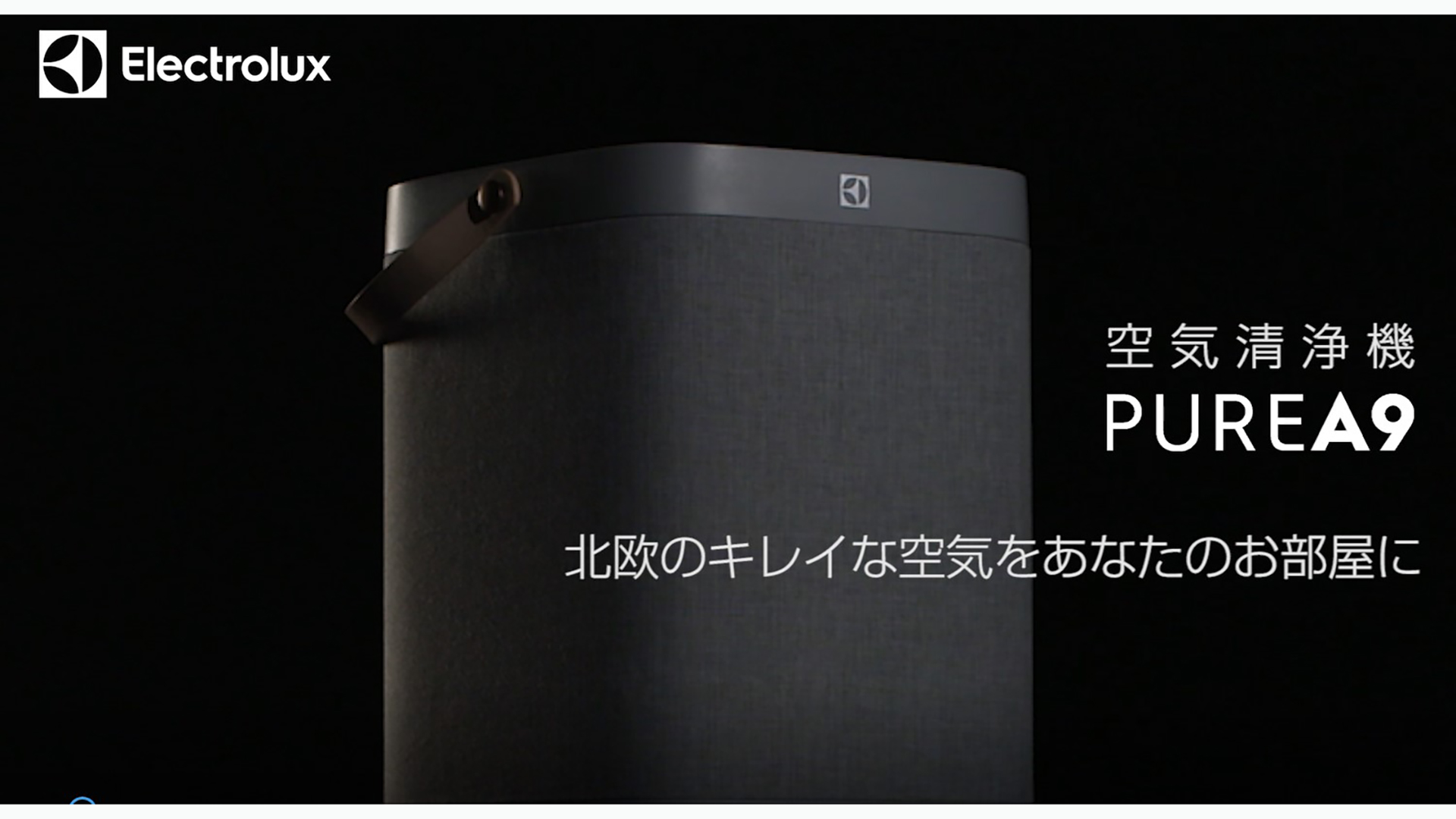 Amazon | Electrolux (エレクトロラックス)Pure A9 PA91-406GY グレー