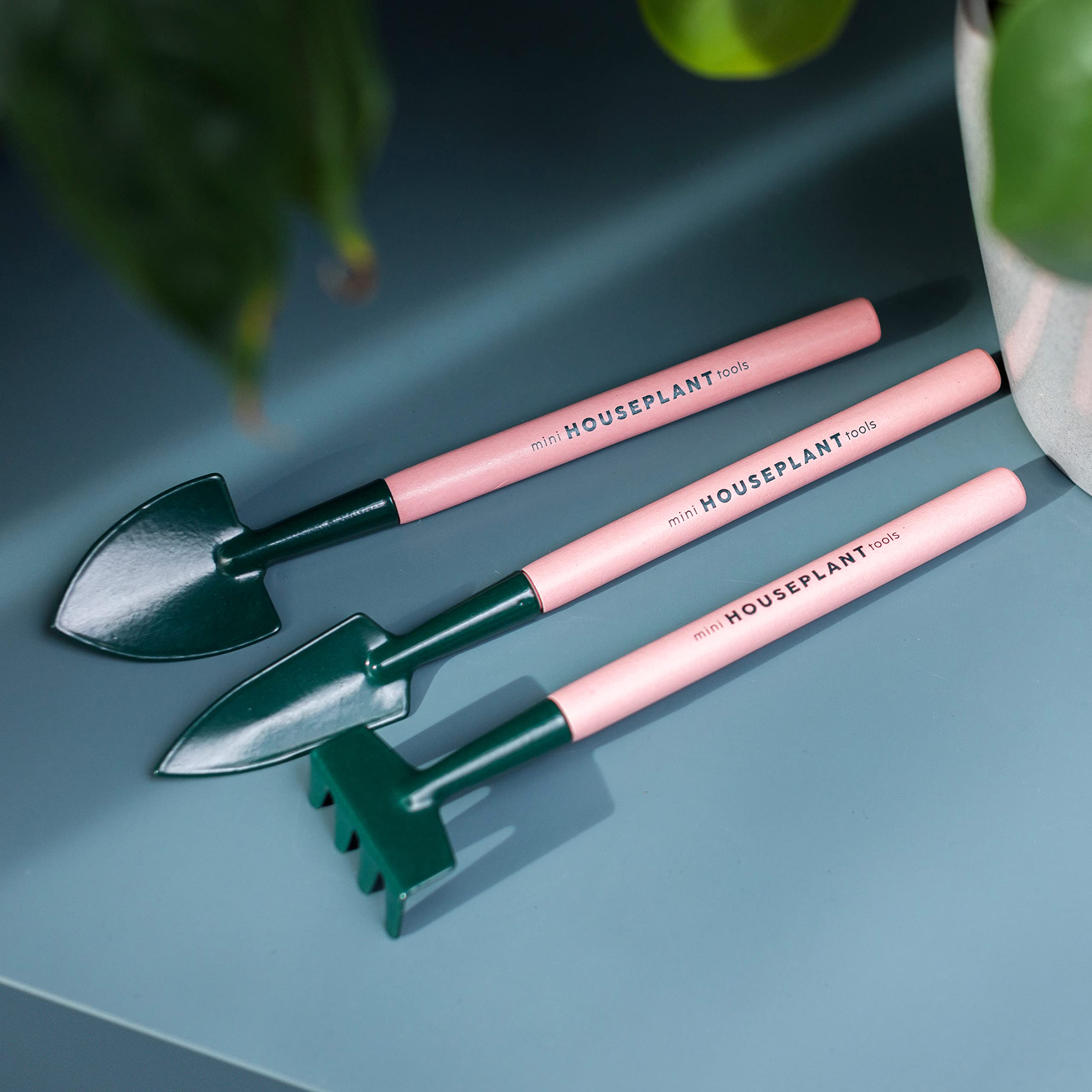 Amazon.com: Mini Houseplant Tools - Indoor Gardening Tools Set