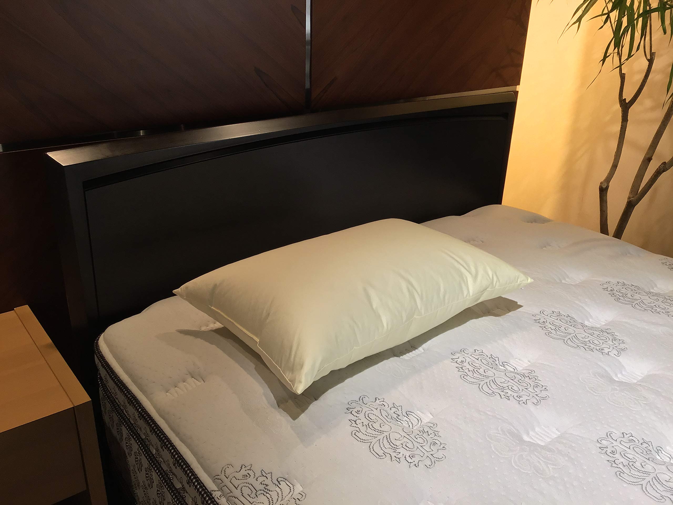 Amazon｜【正規品】Sealy(シーリー) 枕 ダウンピロー350 ホワイト