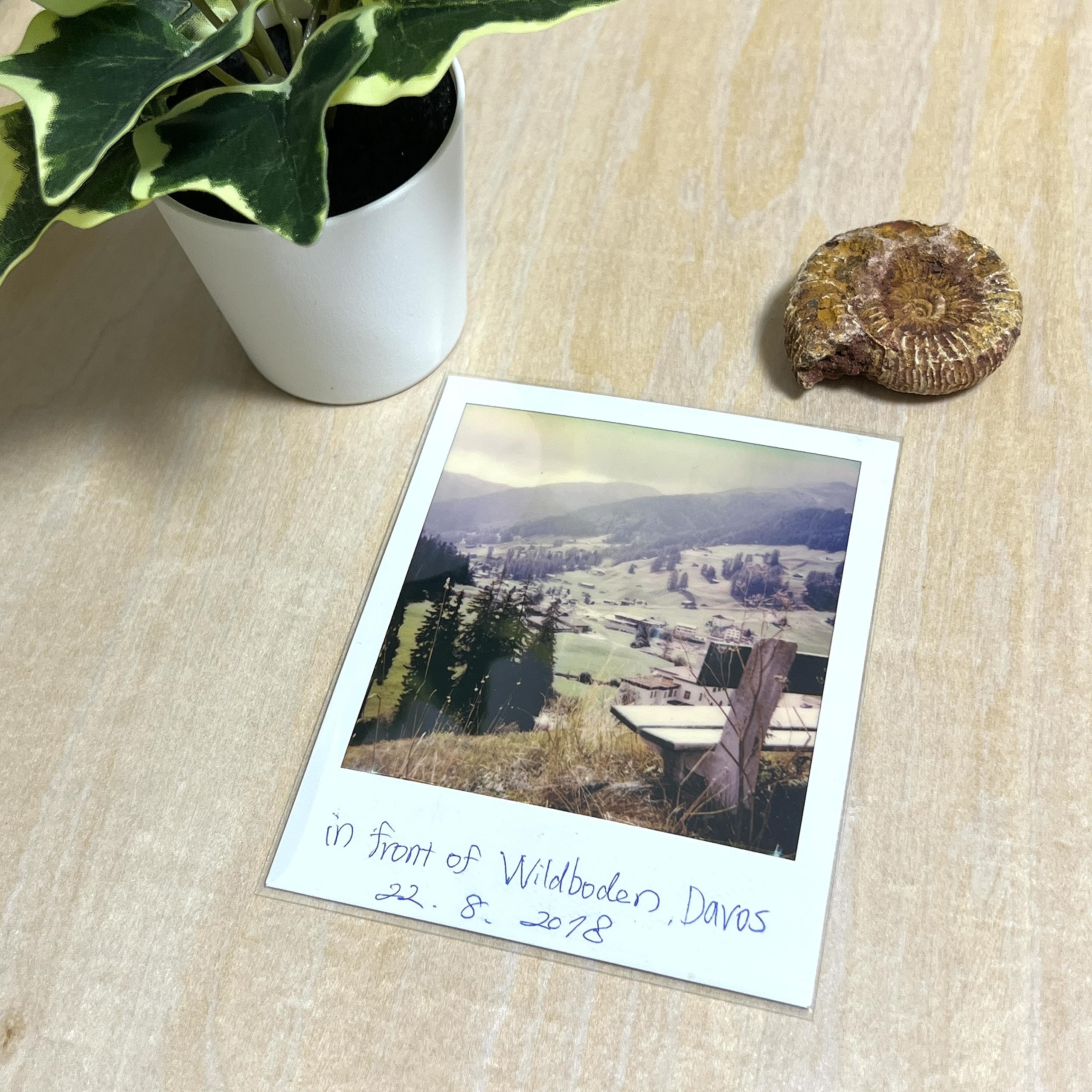 Amazon.co.jp: RedAces ポラロイド スリーブ 110×90mm 特厚 0.05mm 100