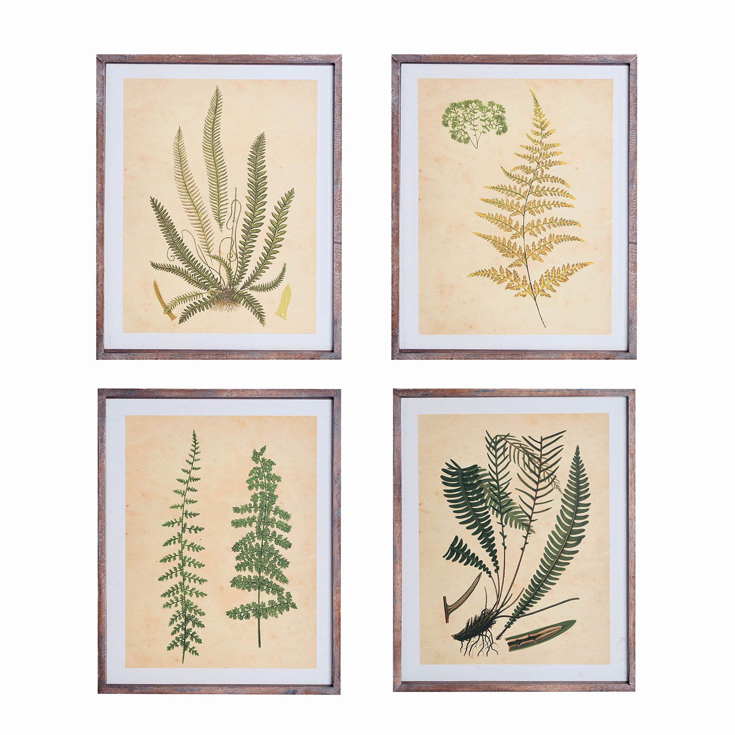 壁掛けインテリア 壁飾り シダ植物 壁掛けインテリア 壁飾り シダ植物