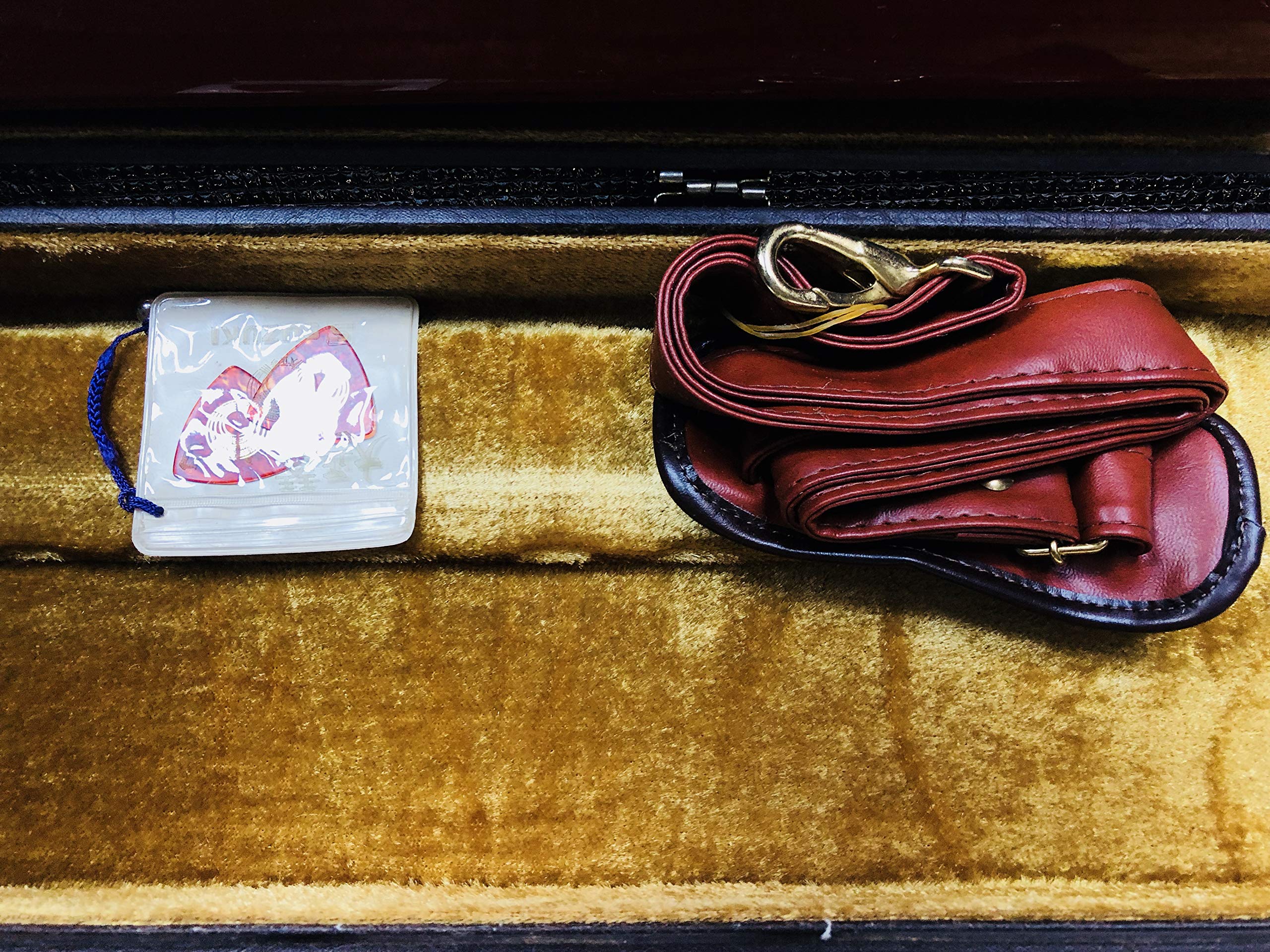 Amazon | スズキ電気大正琴「蘭」ソプラノ セミハードケース付 中古