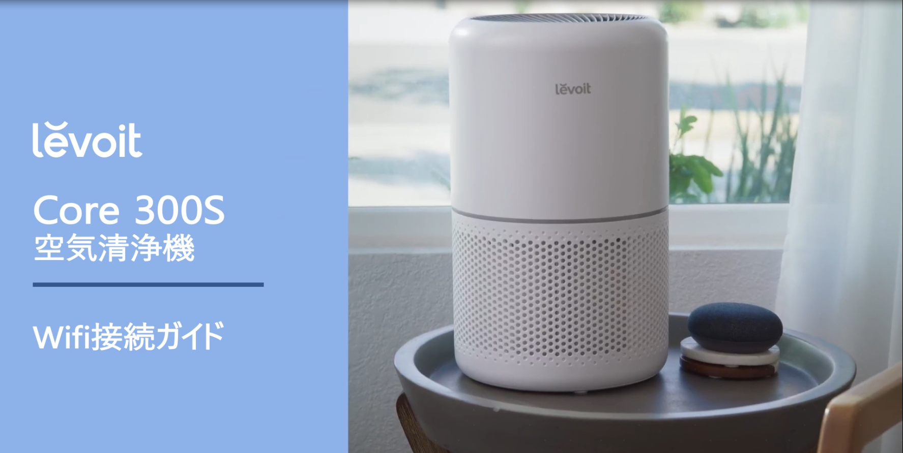 Core 300S空気清浄機の Wi-Fi / Vesync APP 接続ガイド