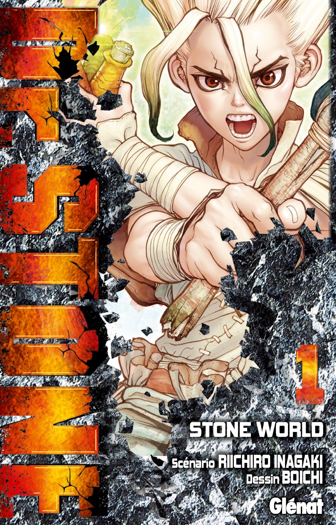 Dr. Stone - Tome 01: Stone World : Boichi, Rupp-Stanko, Karine