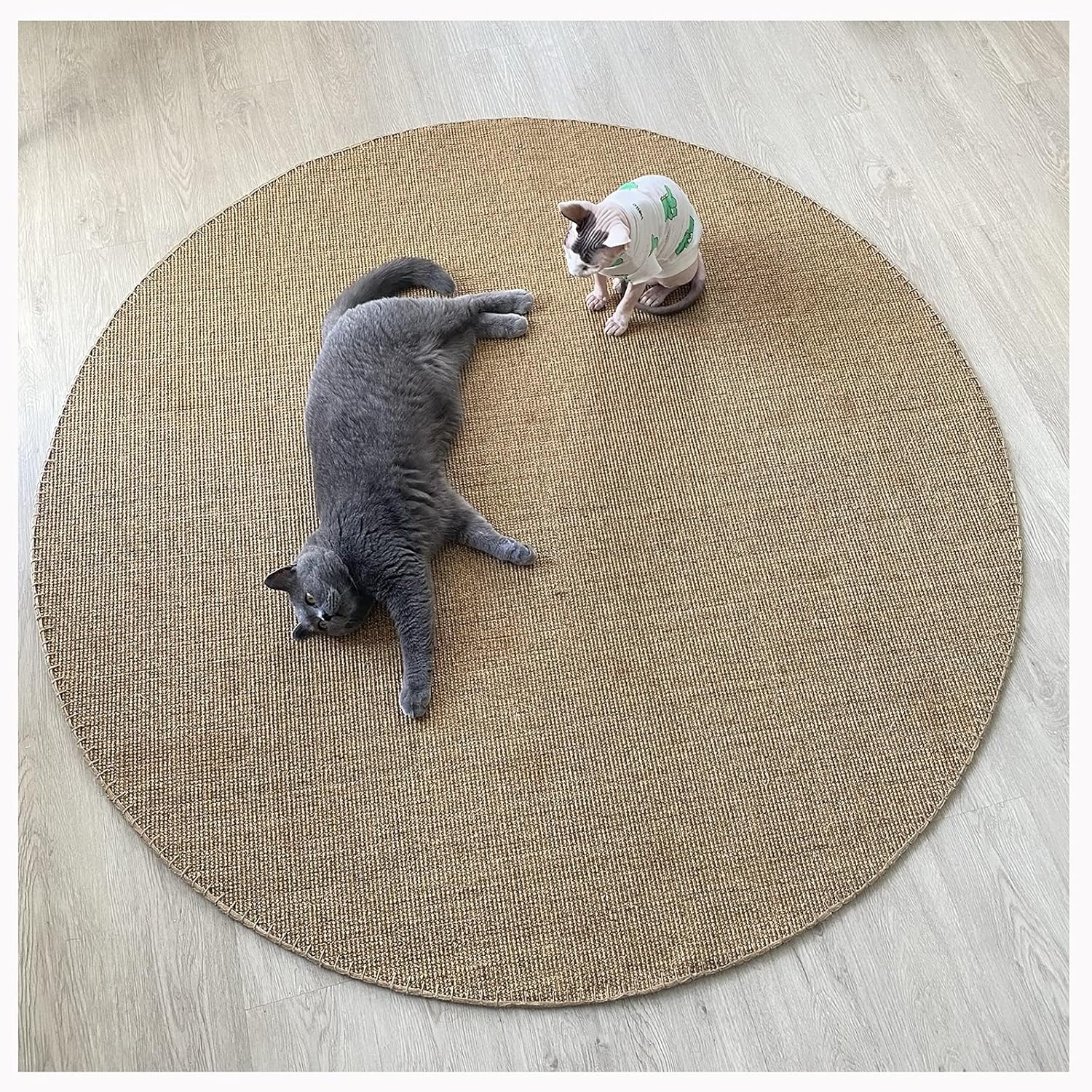 額装ゴッホ(VAN GOGH) 『マルメロ、レモン、梨、葡萄』の手書きの複製