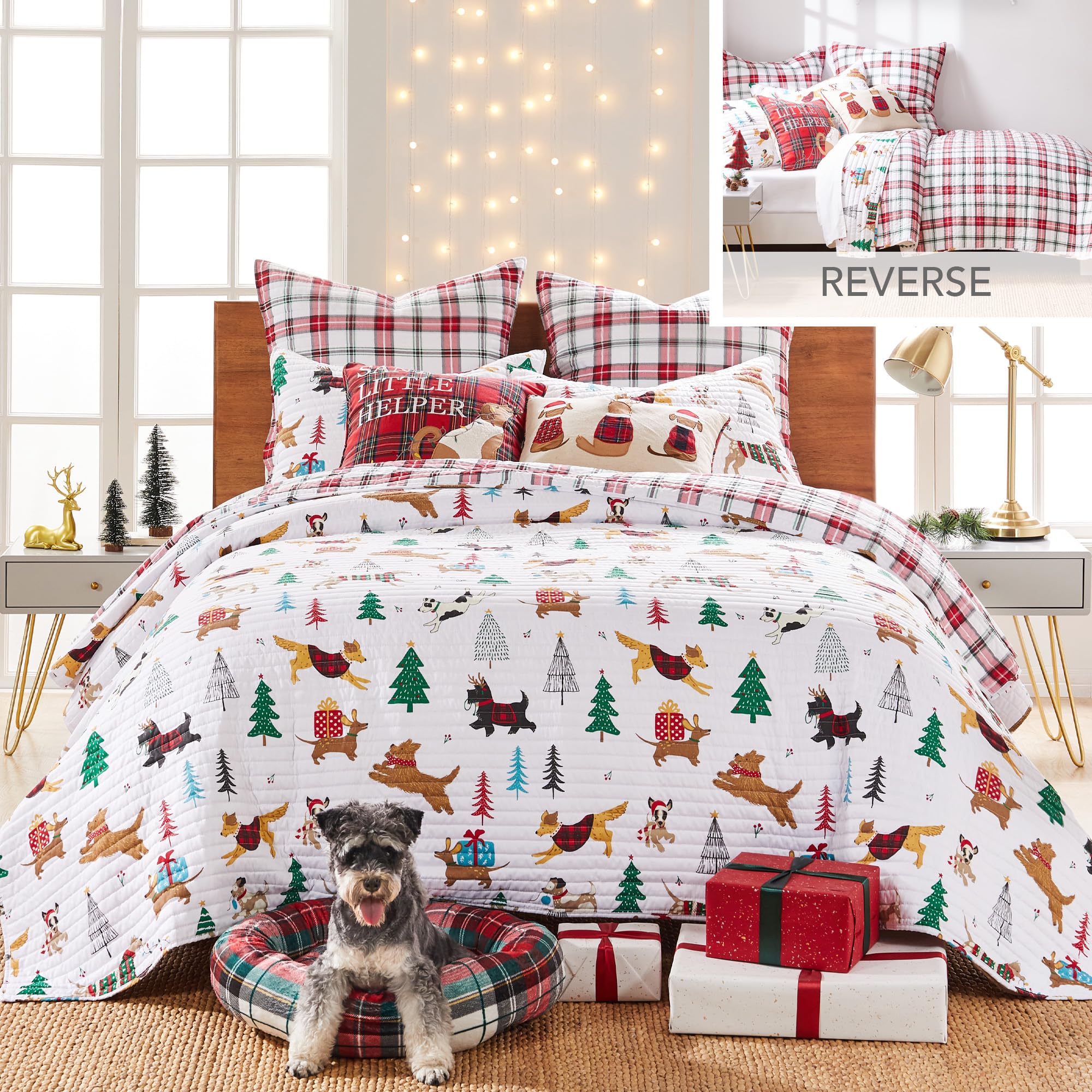 Amazon.com: Levtex Home Merry & Bright Collection - Jingle Paws