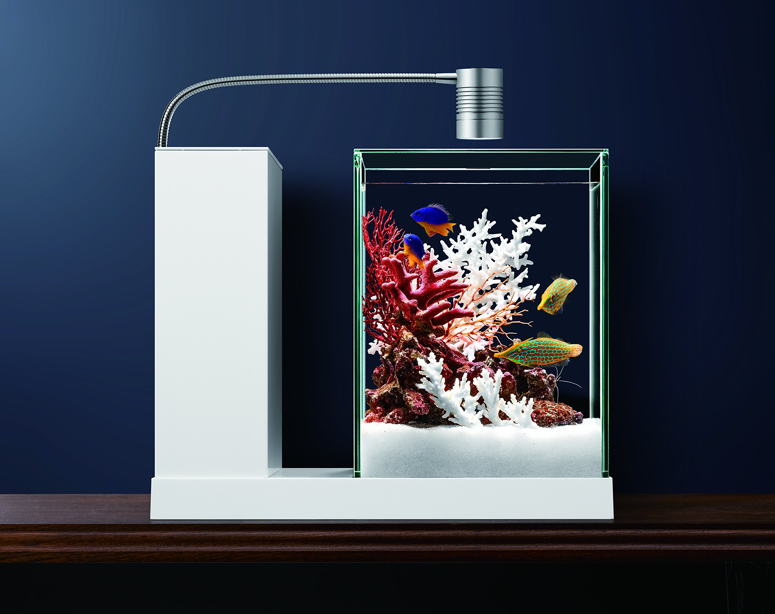 Amazon | ジェックス AQUA-U | GEX | 飼育セット 通販