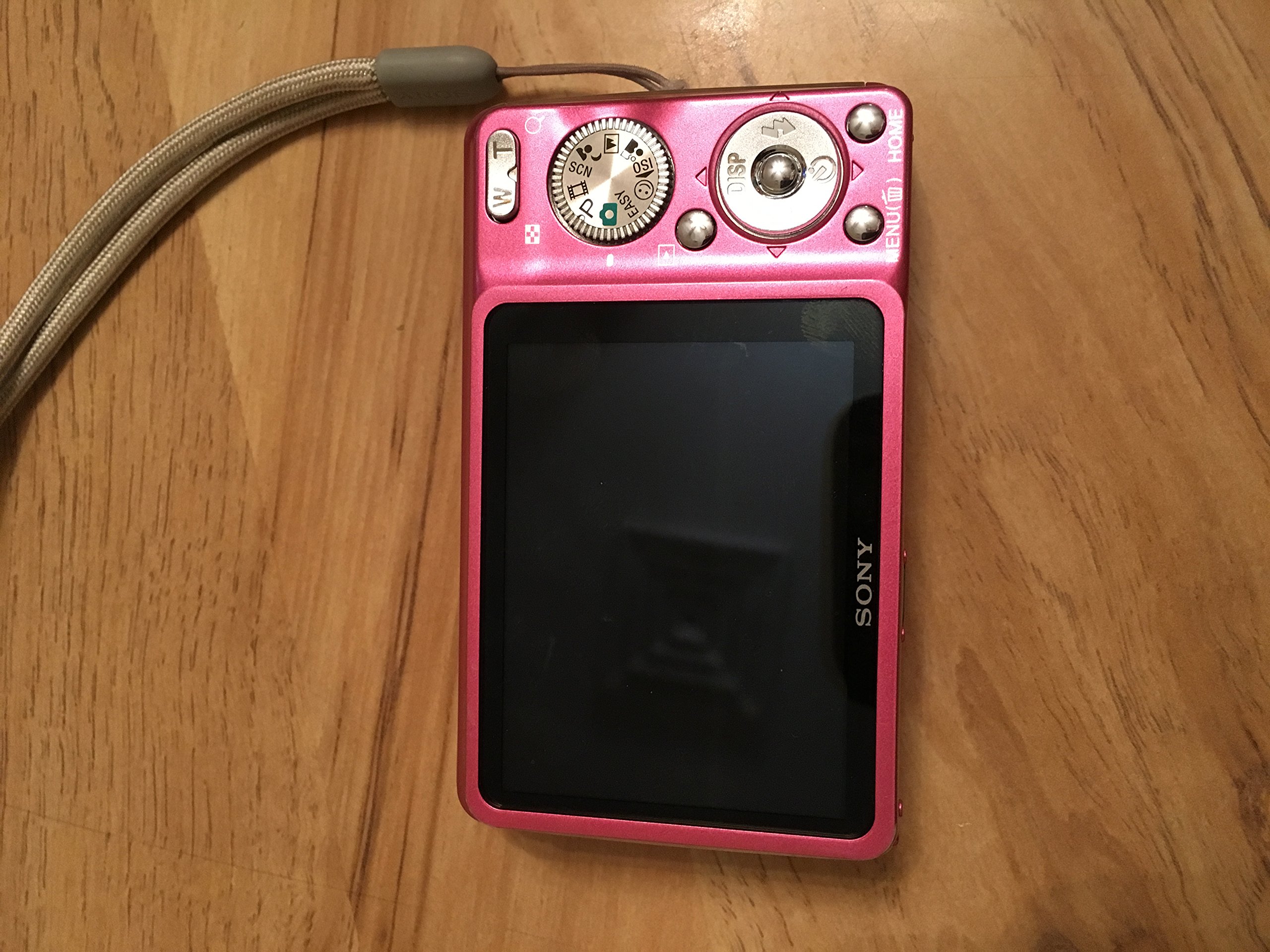 Amazon.com : Sony Cybershot DSC-W220 12MP Digital Camera with 4x