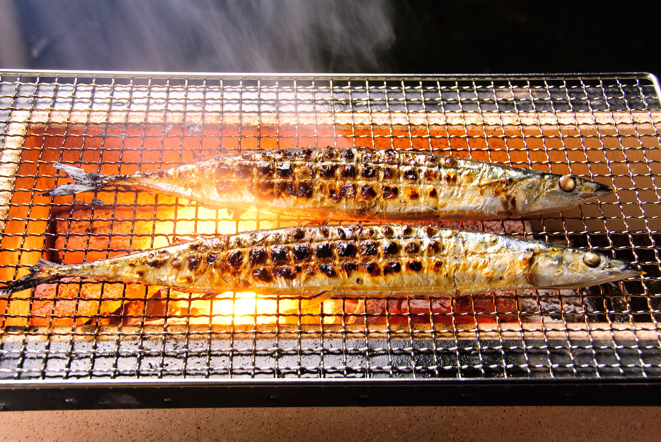 Amazon.co.jp: ポーラスセラミックス炭火コンロ長角七輪 BQ8WF 4~8人用