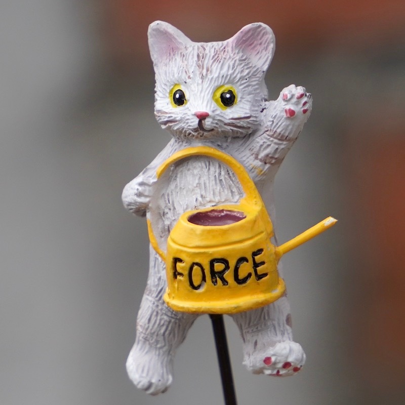 Lotti-ロッティ- 】猫ちゃんがかわいいカーテンリニャックスタイム