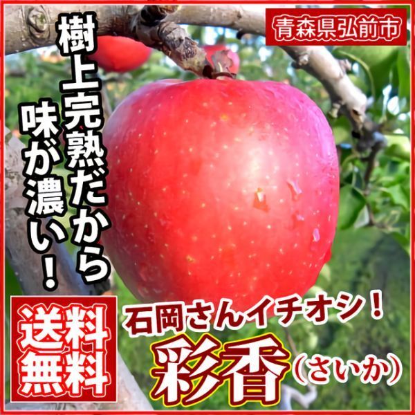 2025年産 休止】彩香(さいか) 3・5・10kg 贈答用・家庭用[青森]石岡
