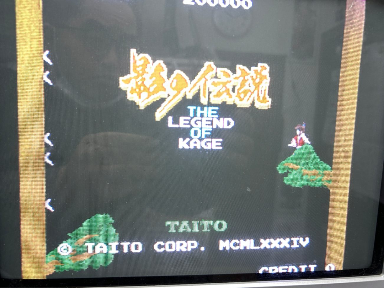 影の伝説 インスト純正 | アーケードゲーム基板,TAITO（タイトー