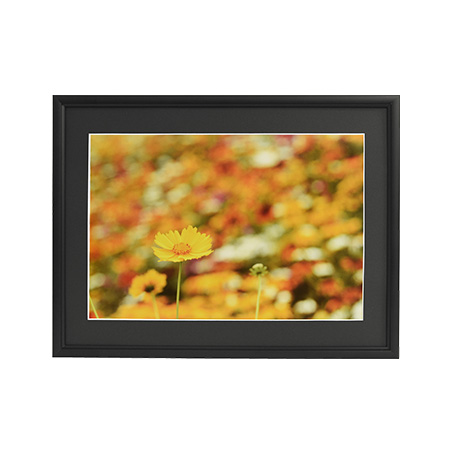 アルミ額縁 A33 ワイド4切 ブラック: フレーム・額縁 | フジフイルムモール