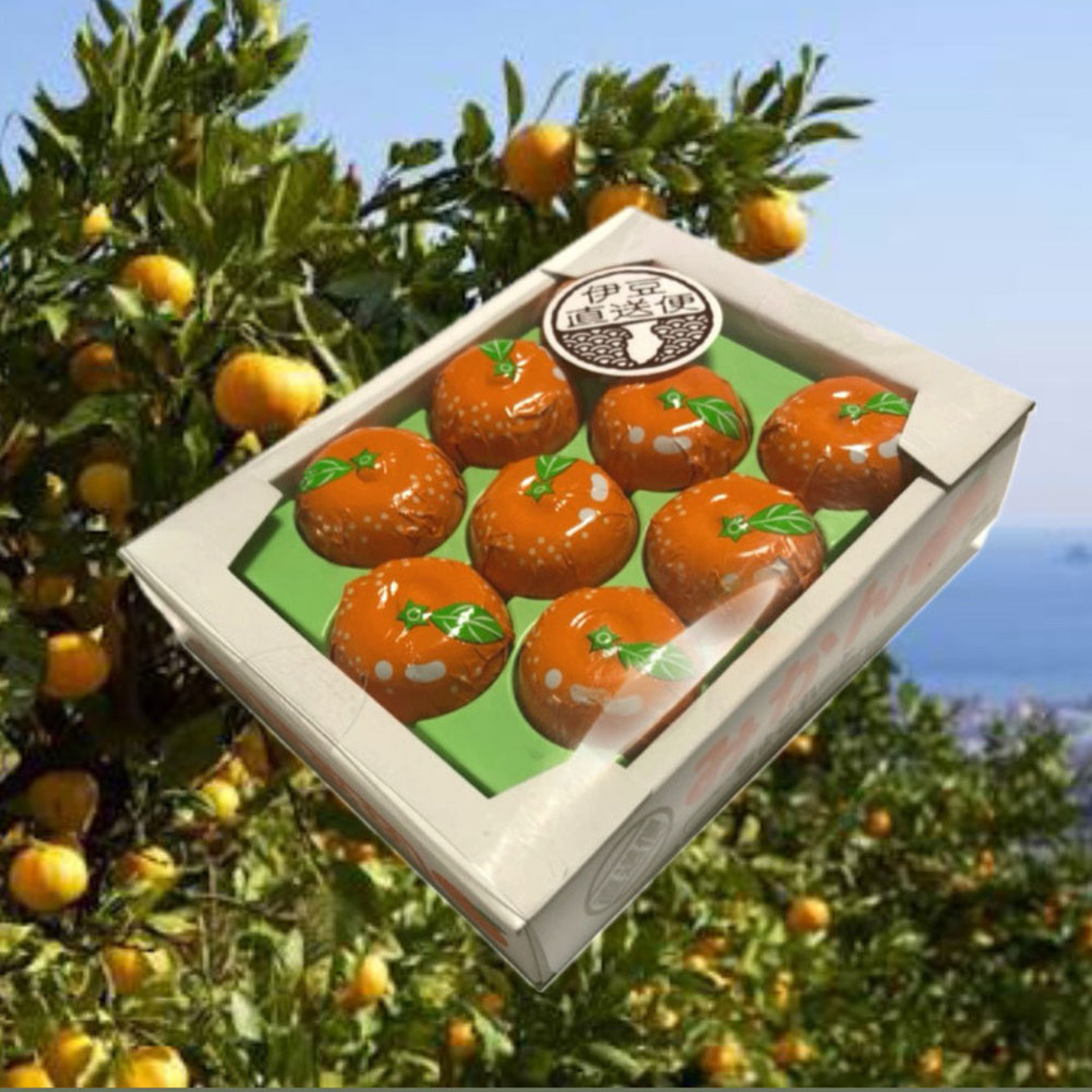 みかんちょこれーと チョコレート プチギフト 9粒入り