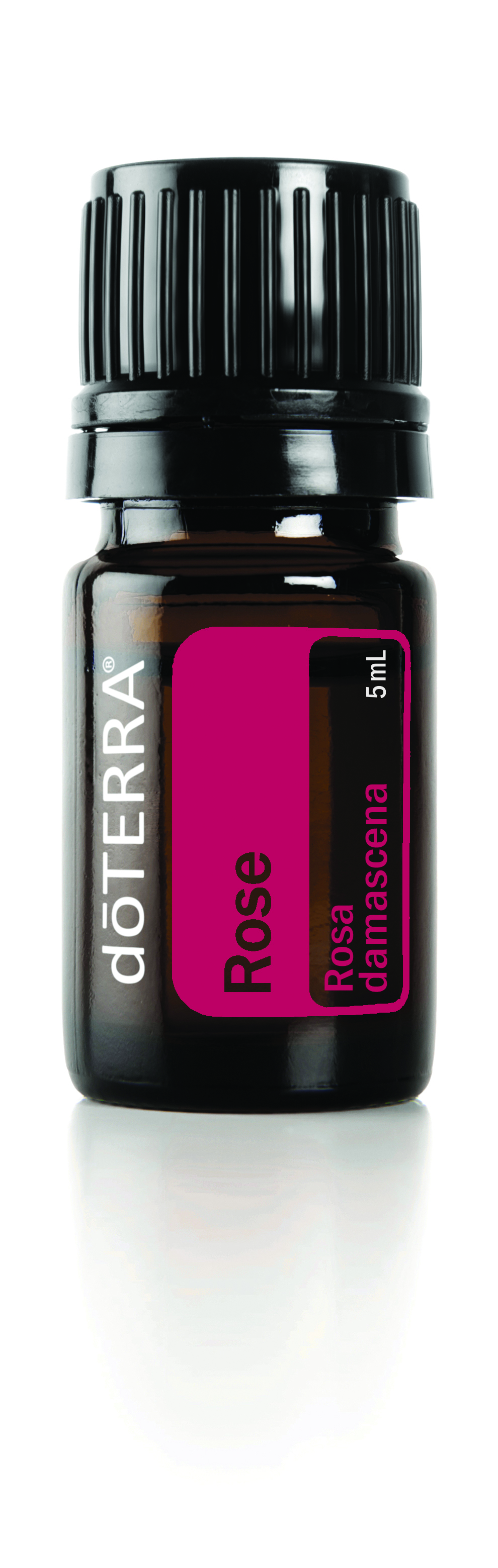 Rose Oil | doTERRA Essential Oils