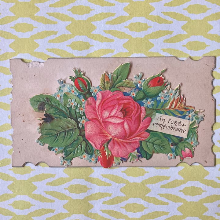 09D額縁の中のレディーと白い薔薇を持つ手のヴィクトリアン