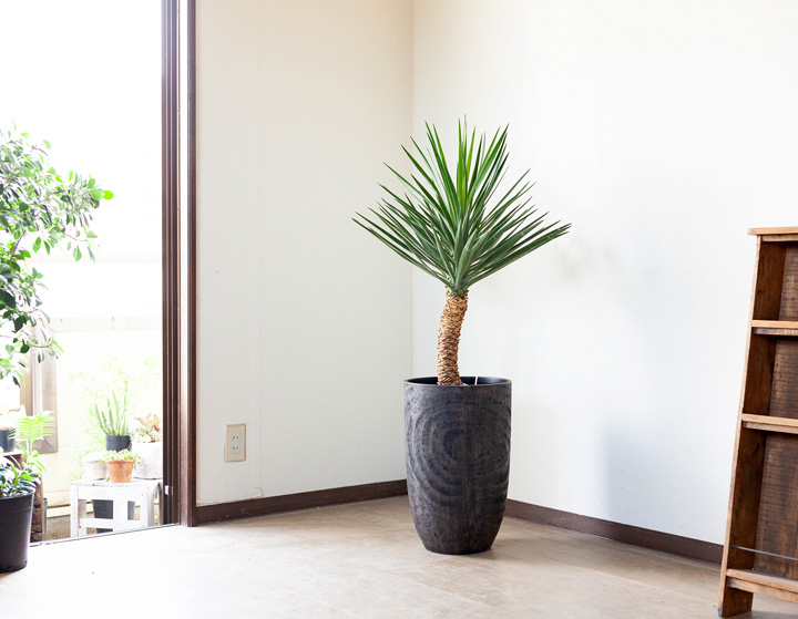 木目調の鉢カバー「トール」type（32cm）MO32【送料無料】 | [公式]e