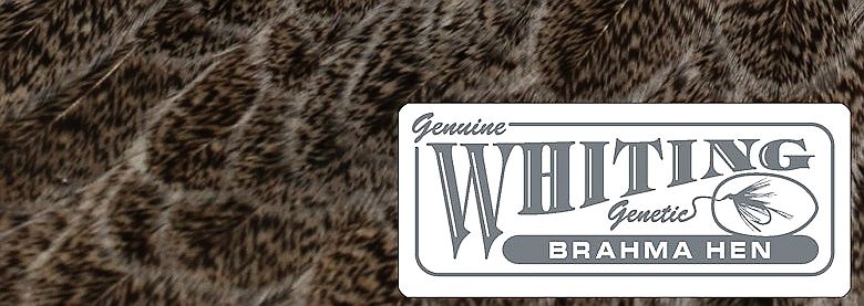 WHITING ホワイティング ブラマ ハックル 杜の家ブルック 通販