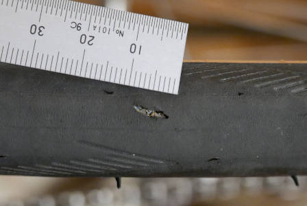 片倉シルクのレストア