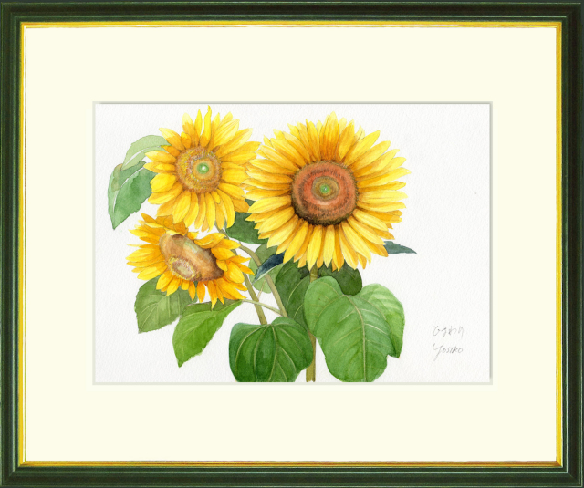 ひまわり」水彩画（絵寸210×297・額寸377×454mm）志村好子