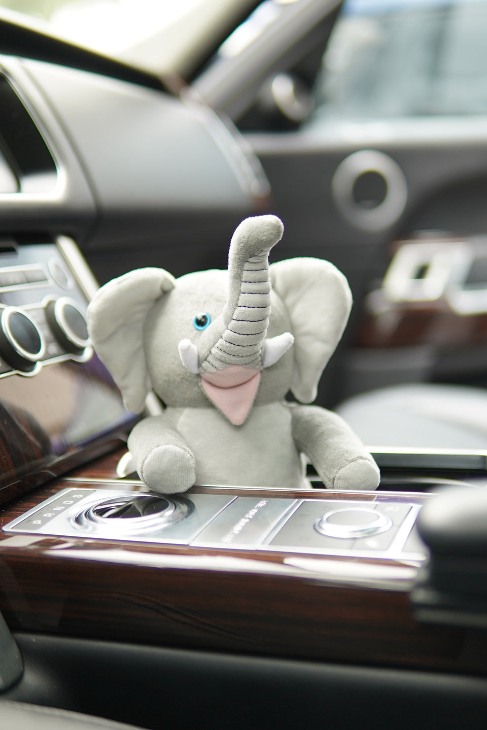 Ellie the Elephant – My Riderz™