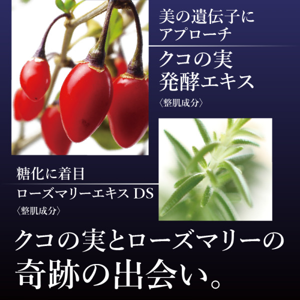 通常購入】ロズマリスト | ナガセビューティケァ公式ショップ