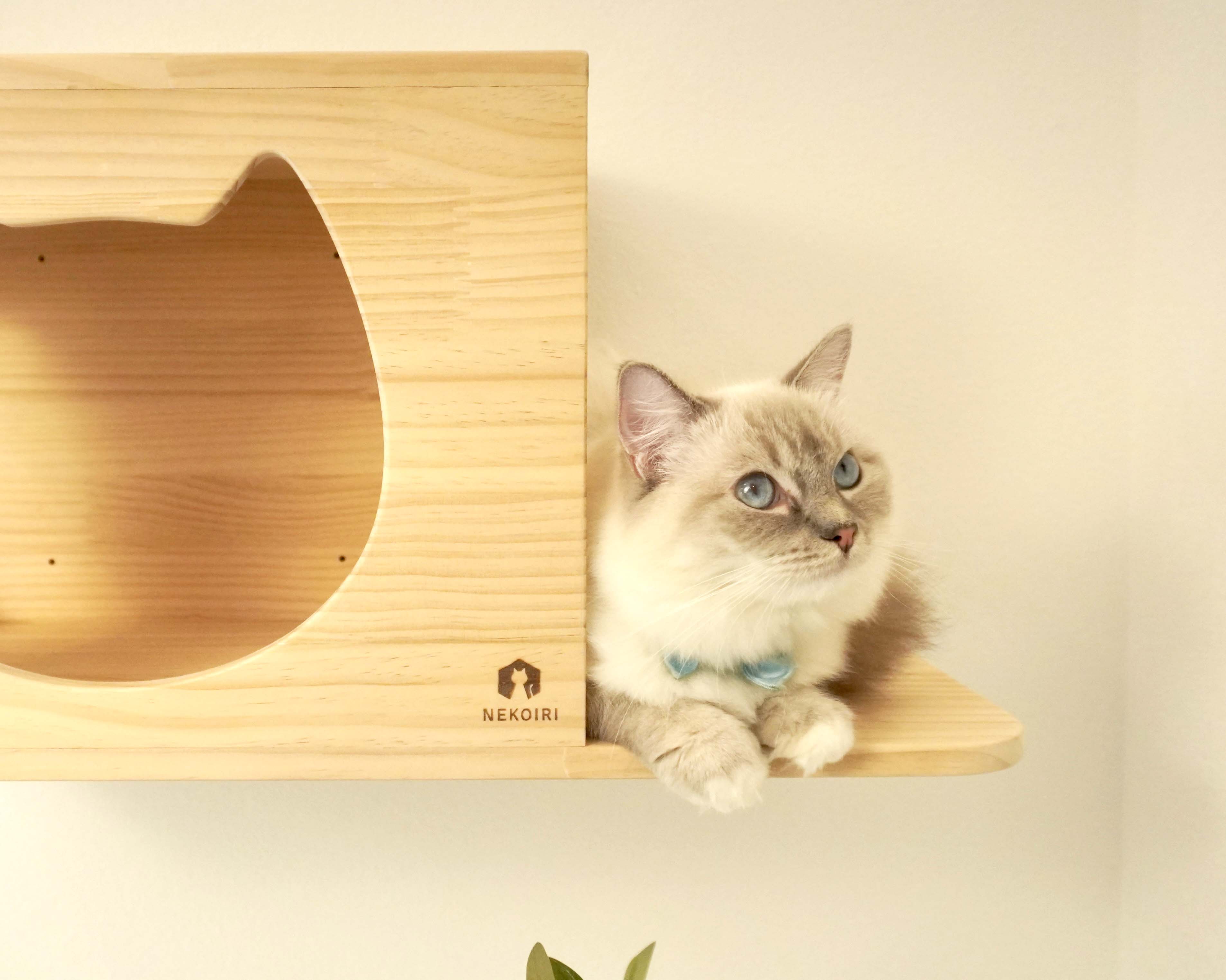 賃貸OK！ 壁掛けキャットハウス Cama(カーマ)｜穴あけ不要の猫家具