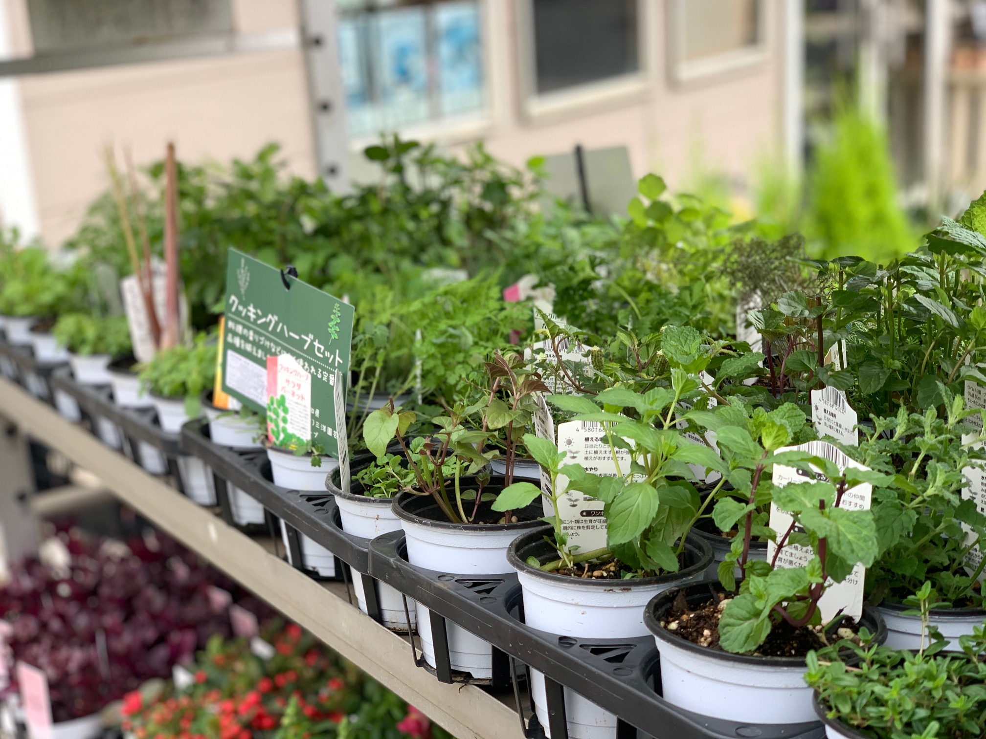 ガーデニング – Nishida Flower（西田フラワー）