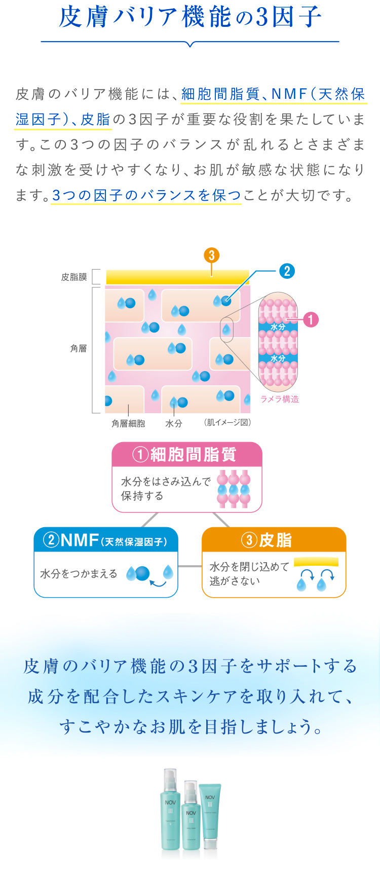 ノブ Ⅲ フェイスローション R」「ノブ Ⅲ ミルキィローション」「ノブ