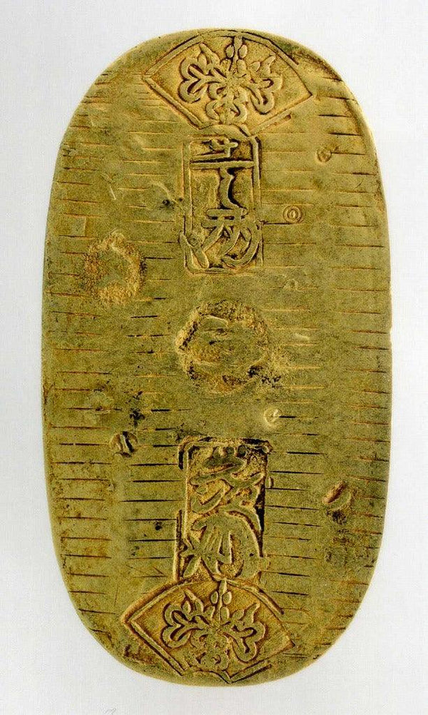 imgj755_600x.jpg?v=1689655419