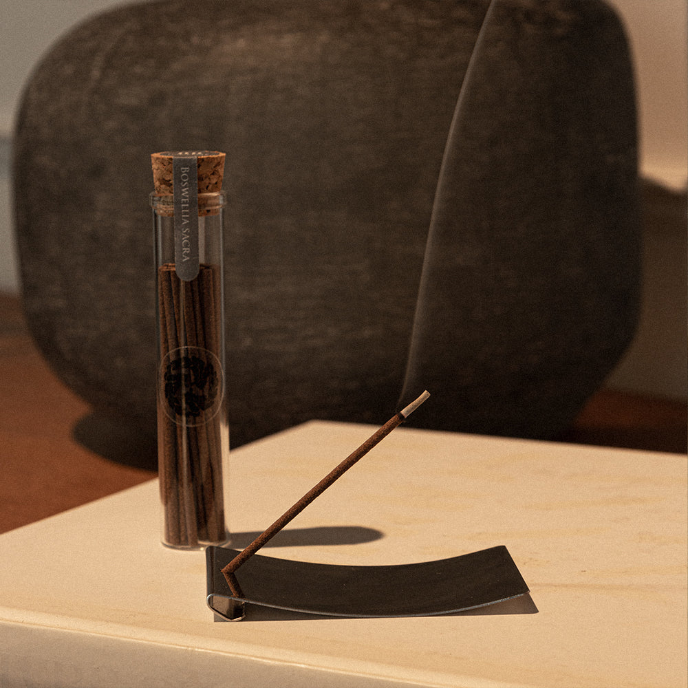 フランキンセンス スティックインセンス – Nu Store