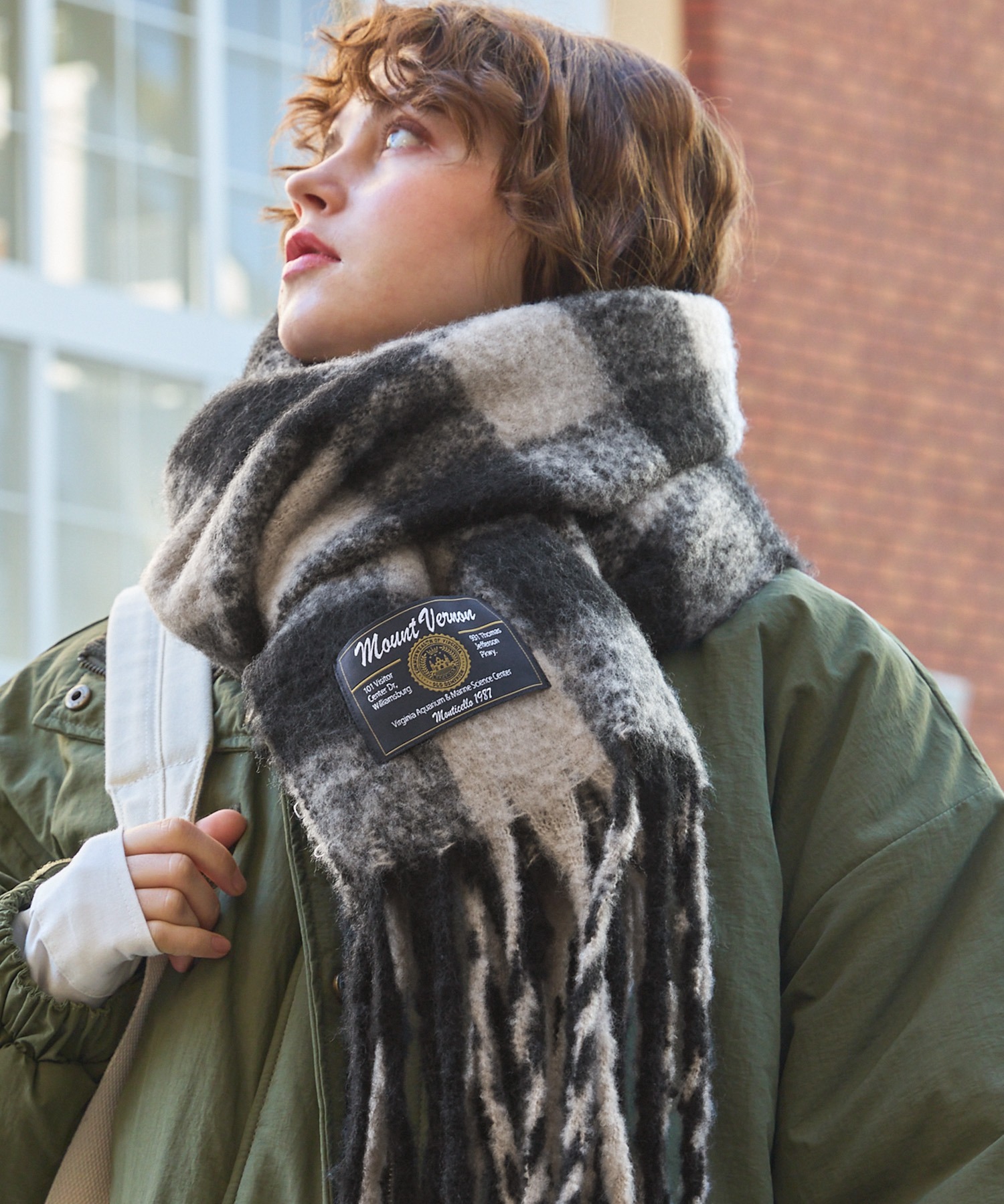 LOUIS VUITTON チェック柄マフラー 30cm x 180cm LOUIS VUITTON