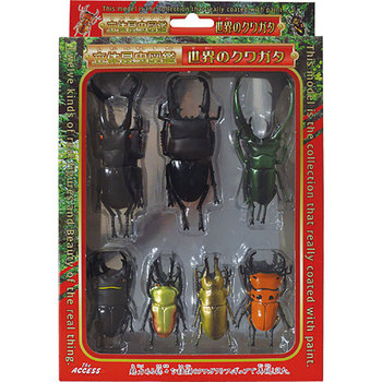 ボルネオの秘宝！とお休みです。: 三足のわらじ