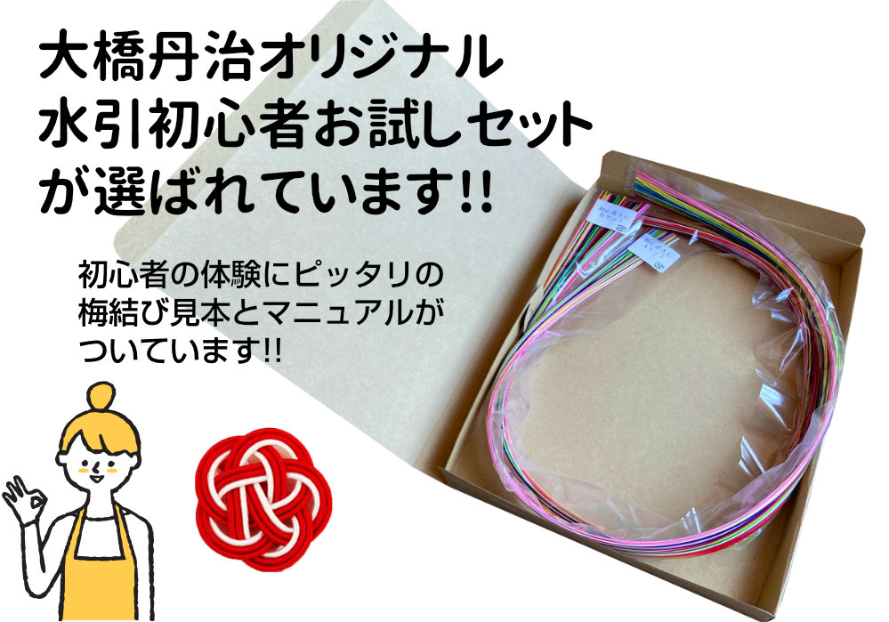 絹巻水引 初心者お試しセットDX(花水引含む全30色入)x2個セット 送料込