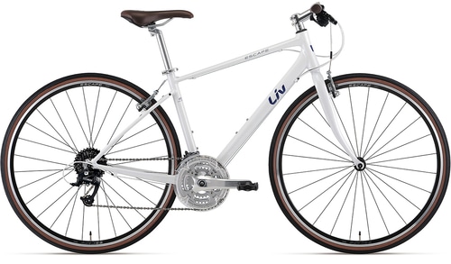 直接取引限定9月25日までに引き取り可能な方のみGIANT自転車