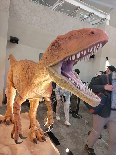 関西パビリオン～福井県（大阪・関西万博おでかけ日記）: 大阪市好き