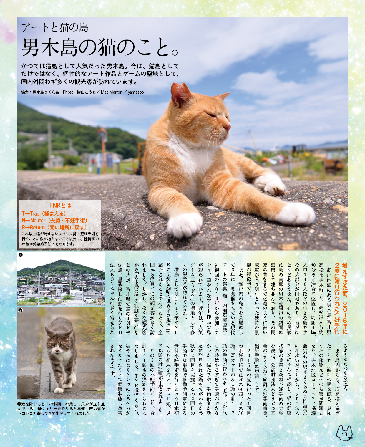 保護ねこカレンダー4 | 株式会社ピーエーディー