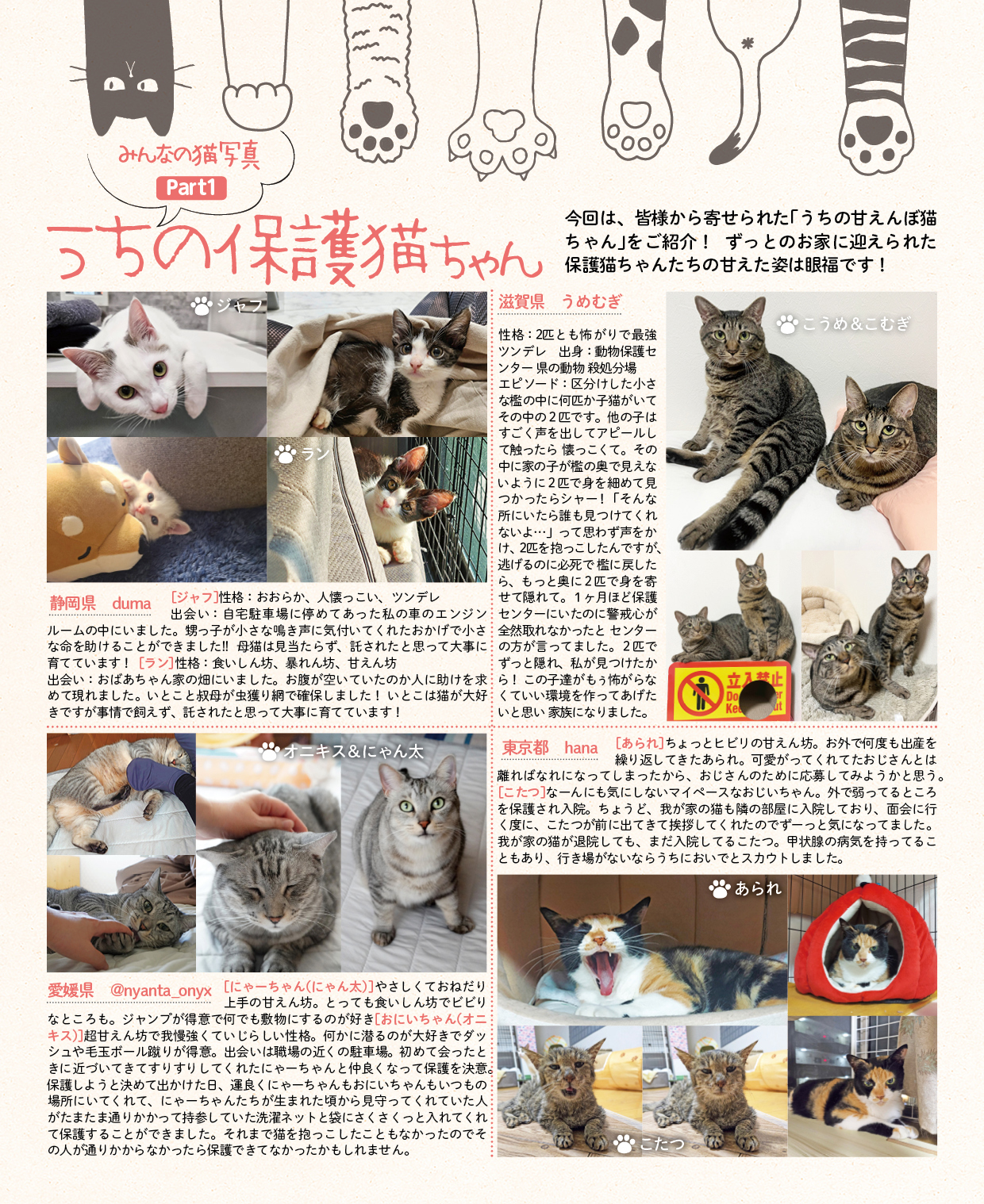 保護ねこカレンダー4 | 株式会社ピーエーディー