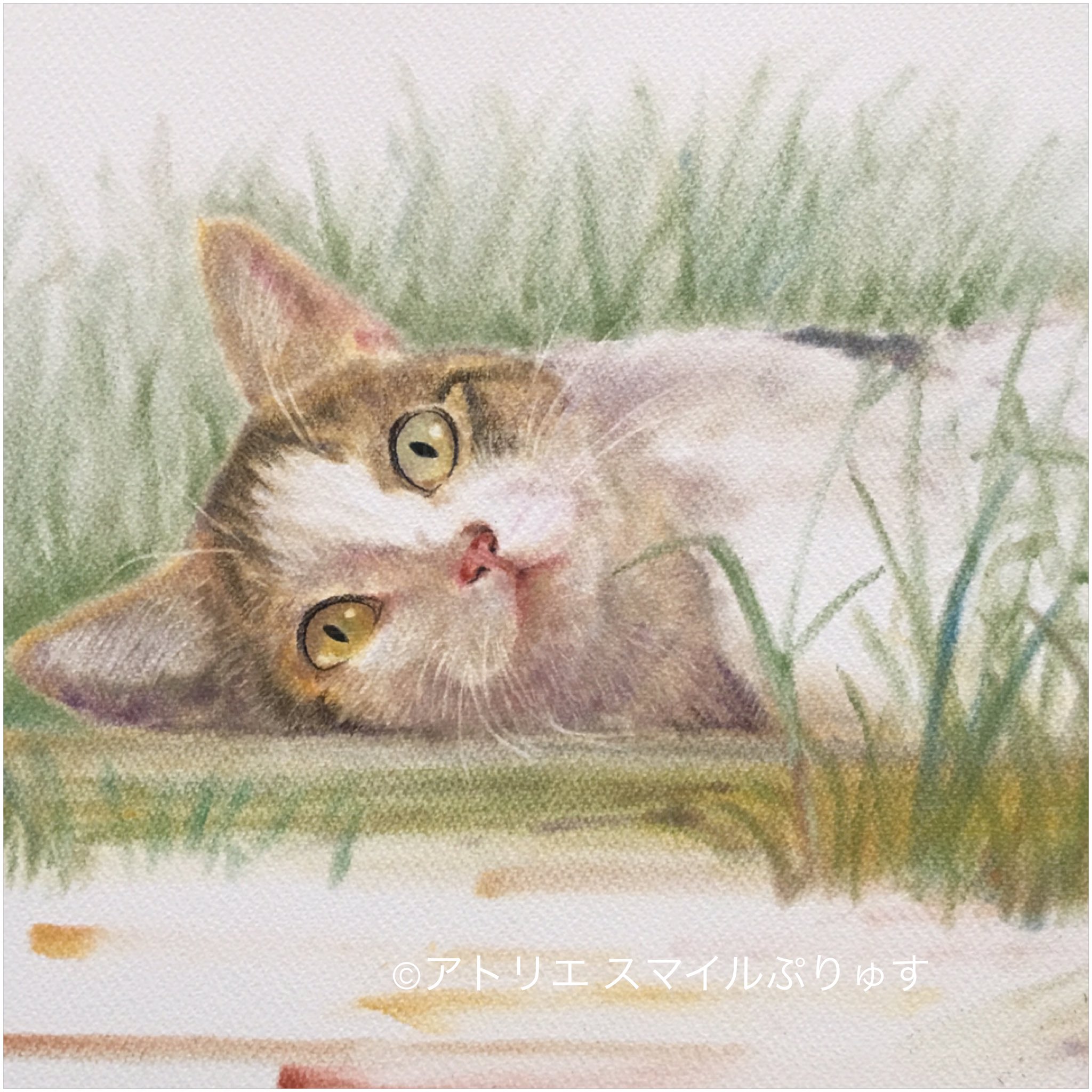 やっほい” 色鉛筆画 パステル パンダ やっほい” 色鉛筆画 パステル