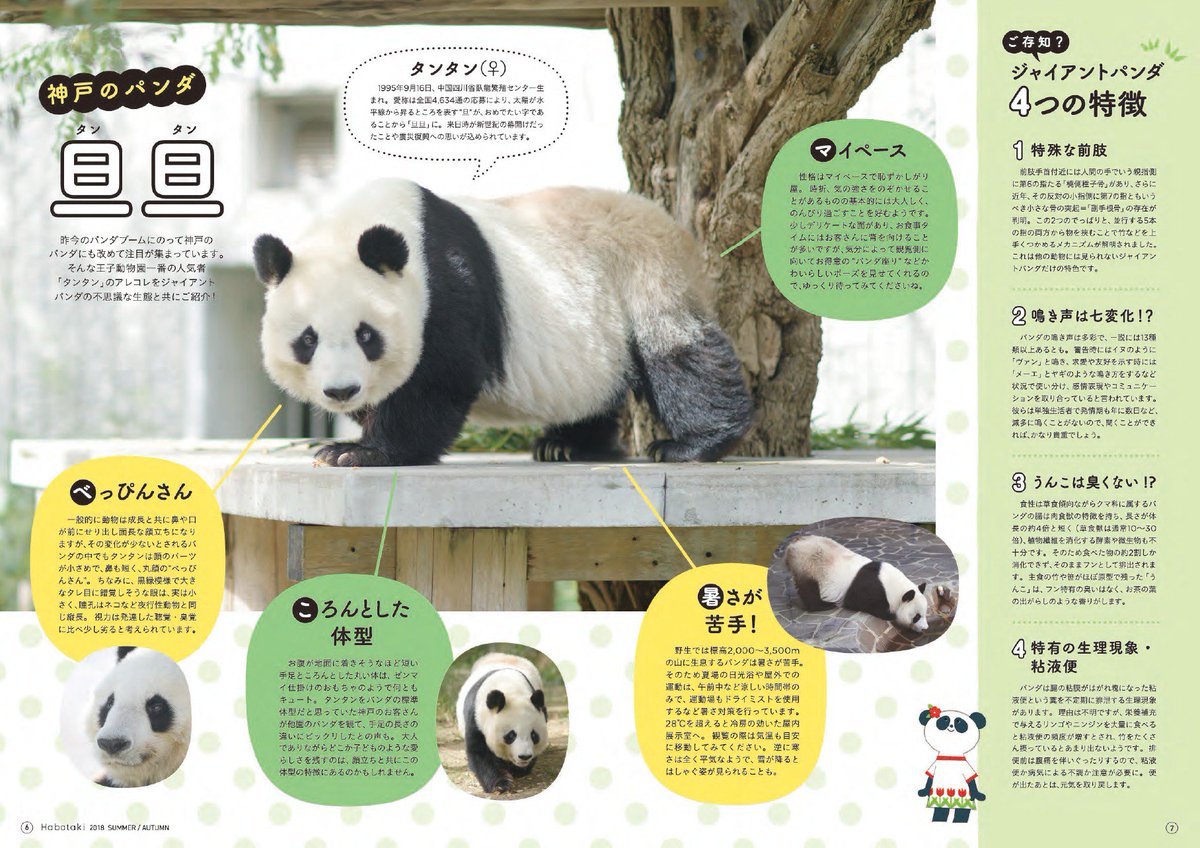 K*J様 【貴重】王子動物園 Habataki はばたき vol.1 タンタン表 ご案内