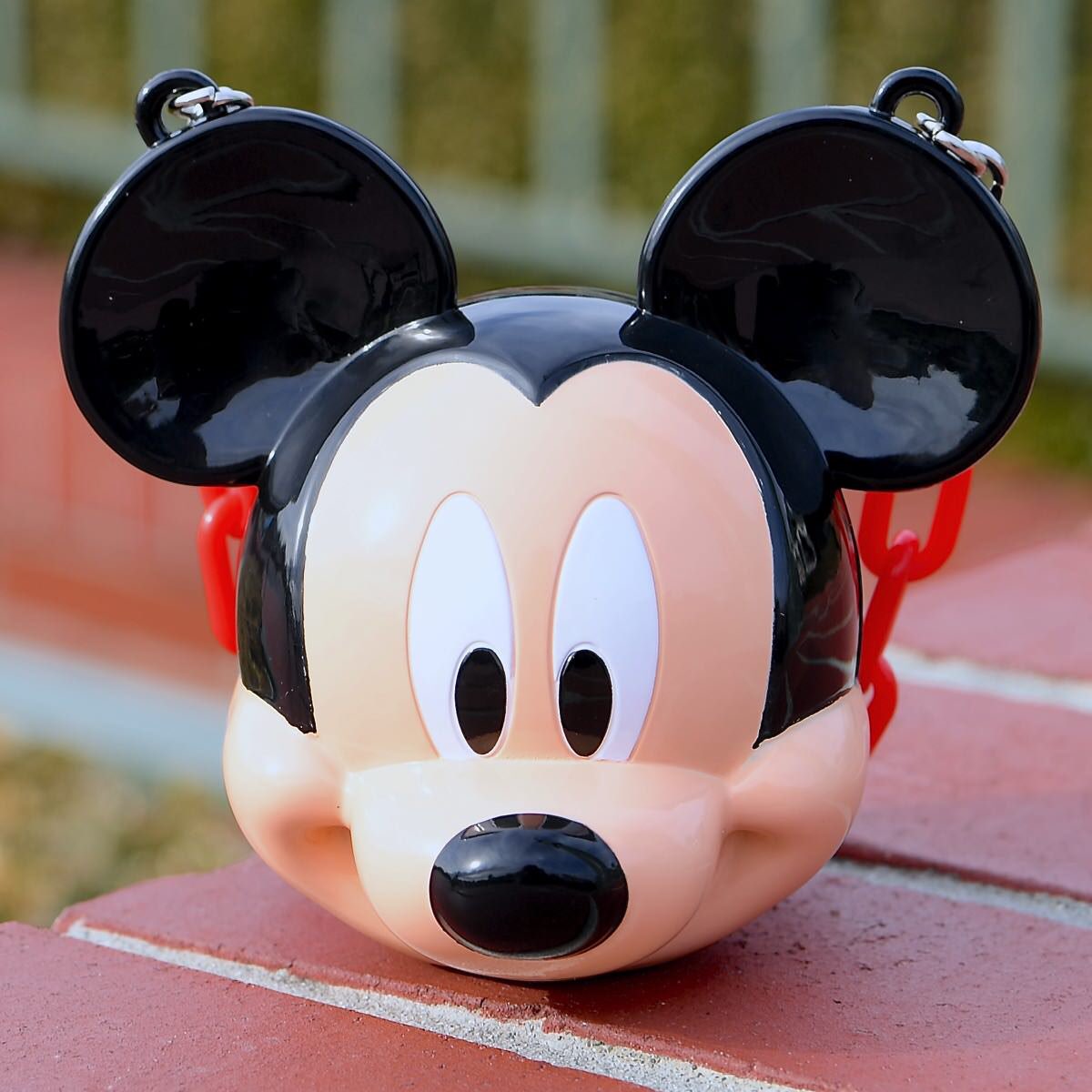 かわいいミッキー・ミニー・プーさんデザイン☆ 東京ディズニーランド