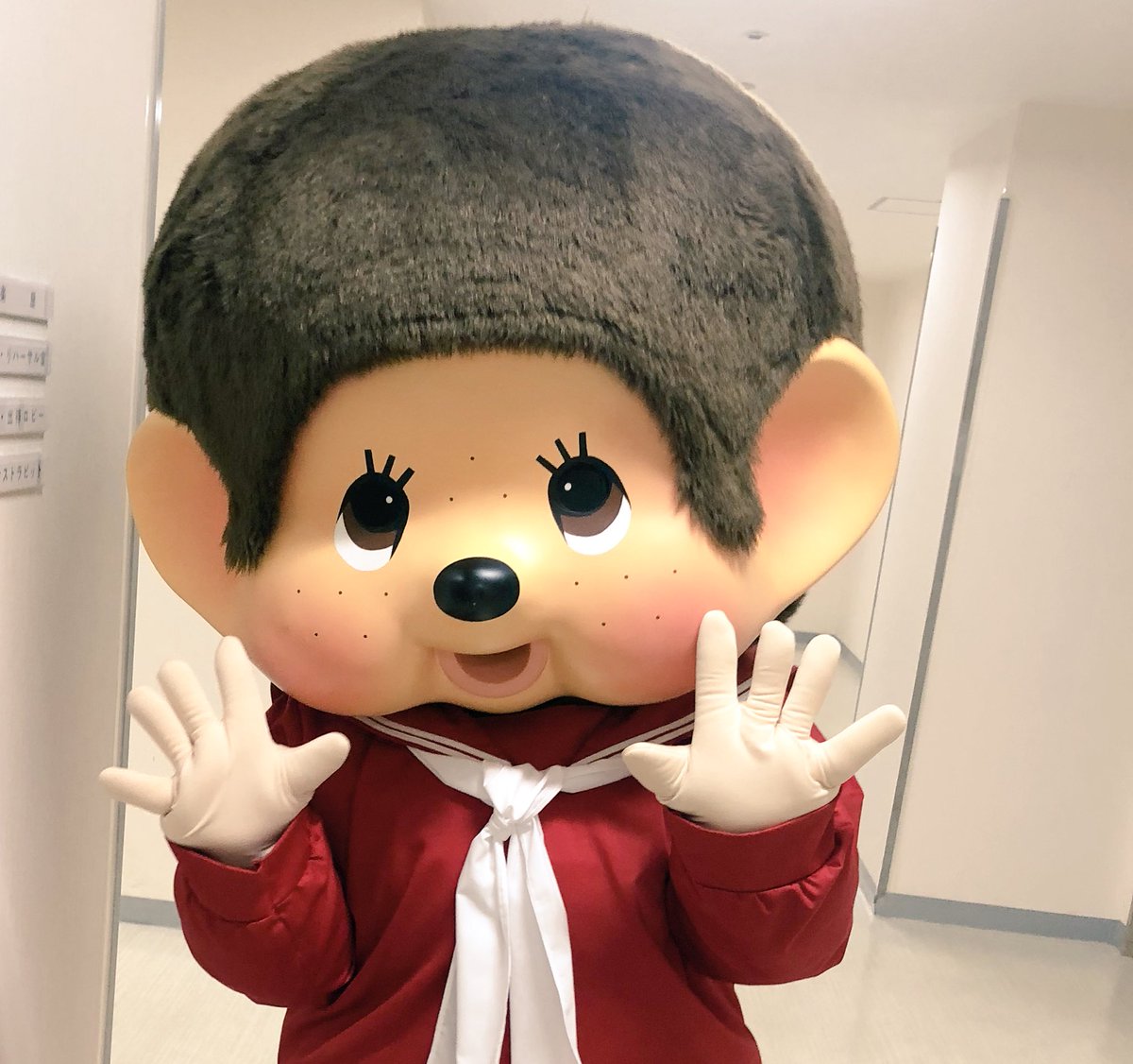 DpWv4reU0AAyiG0.jpg?format=jpg