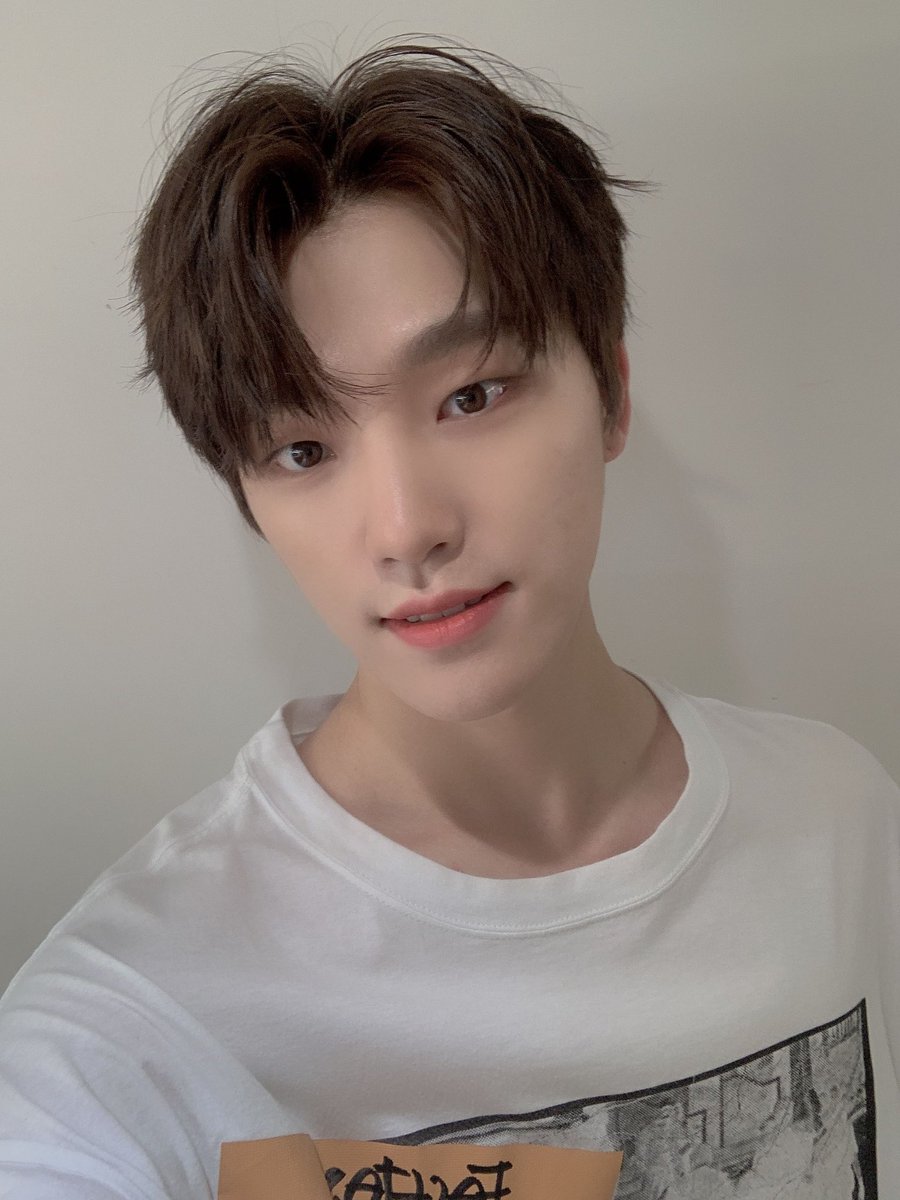 セブチはディノペンです☺️ （ジュンから入ってジョンハンを通って